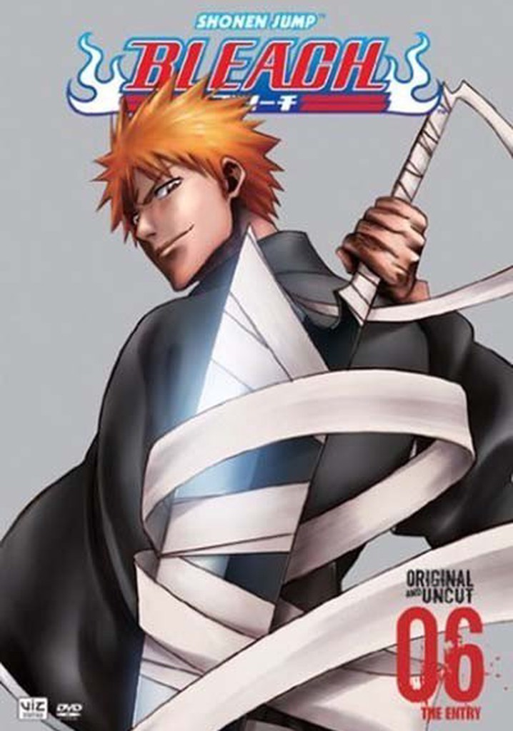 Bleach Season 6 watch full episodes streaming online
